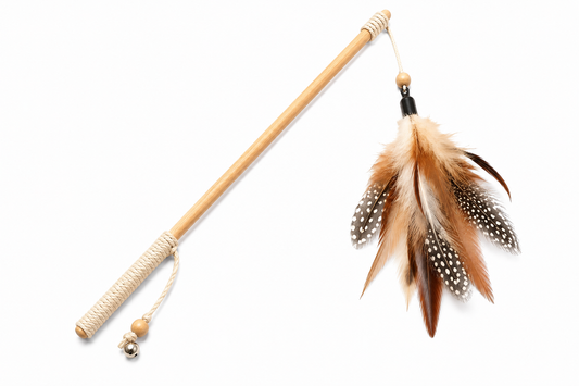 Wooden Feather Cat Wand Toy – Bell Interactive Teaser