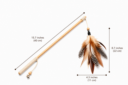 Wooden Feather Cat Wand Toy – Bell Interactive Teaser